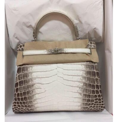 Himalayan Birkin Bag